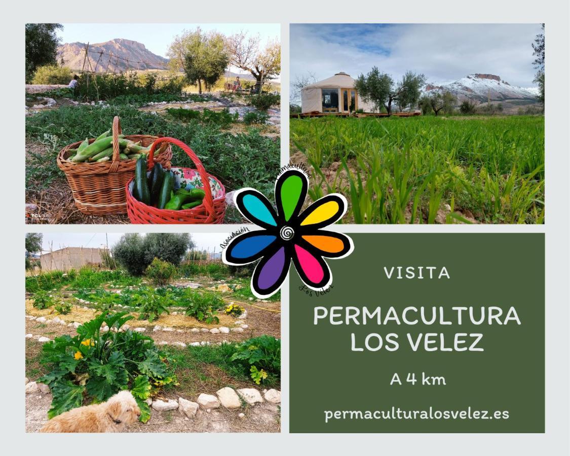 La Casa Viva. Alojamiento Responsable Y Sostenible. Vélez Blanco Exteriör bild